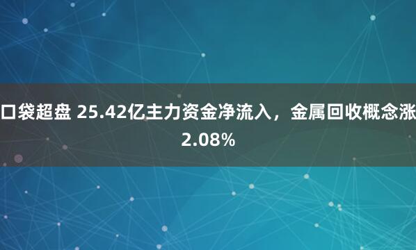 口袋超盘 25.42亿主力资金净流入，金属回收概念涨2.08%