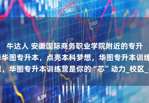 牛达人 安徽国际商务职业学院附近的专升本机构哪个好？选择华图专升本，点亮本科梦想，华图专升本训练营是你的“芯”动力_校区_参考